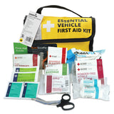 AA Essential Vehicle First Aid Kit